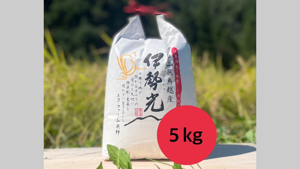 イセヒカリ(白米・玄米)3kg・5kg・10kg