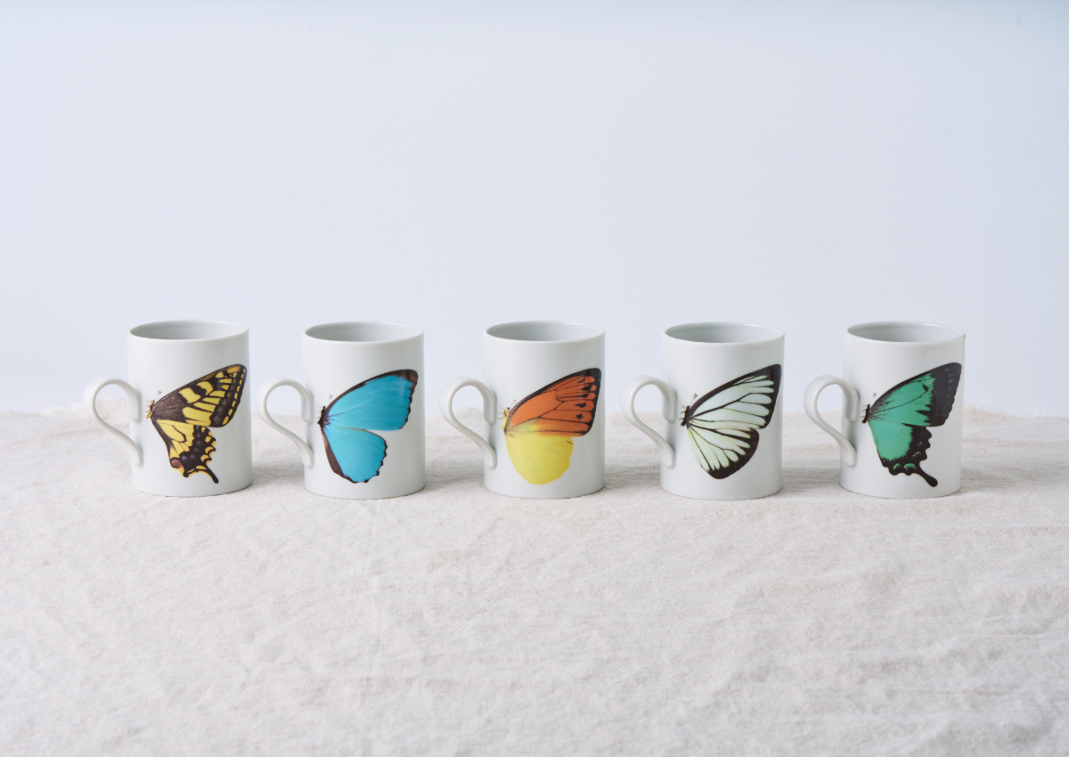 BUTTERFLY gift set