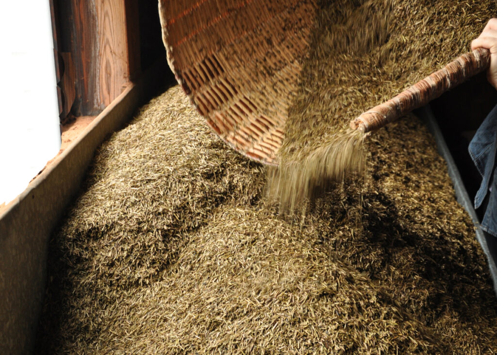 金沢市や小松市でよく飲まれる石川県の特産品のお茶、加賀棒茶を焙煎する作業