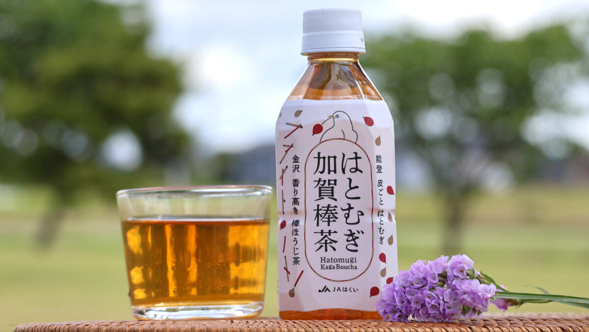 はとむぎ加賀棒茶(350ml×24本)